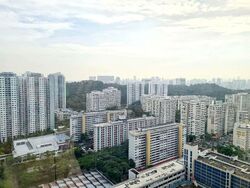 Skyline Residences (D4), Condominium #576493091
